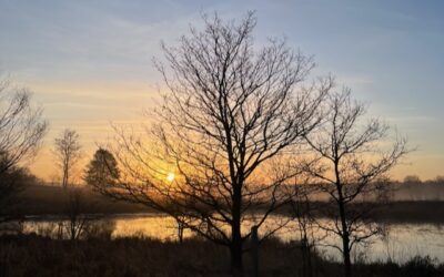 De wandeling die me deed twijfelen aan mijn verhaal