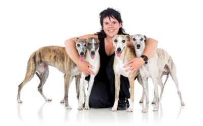 1 Jaar zonder honden – het gemis en de vrijheid