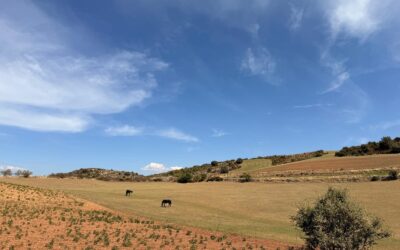 Dag 7 – In the middle of silent nowhere